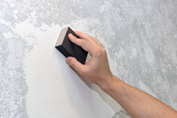 Best Mold Prevention Services  in Rapid Valley, SD
