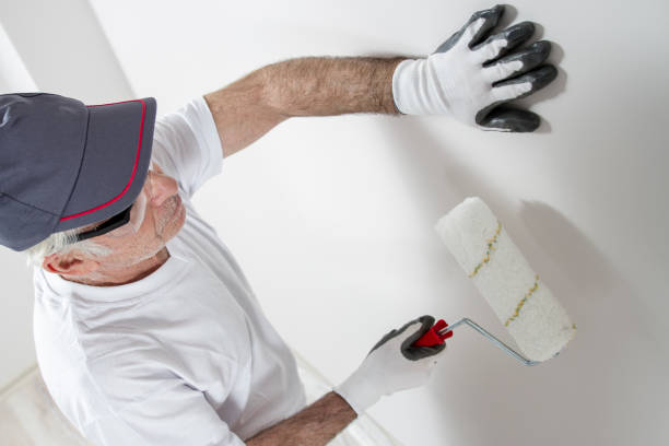 Reliable Rapid Valley, SD Mold Removal Solutions
