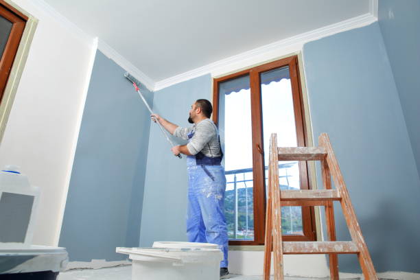 Best Post-Construction Mold Inspection  in Rapid Valley, SD