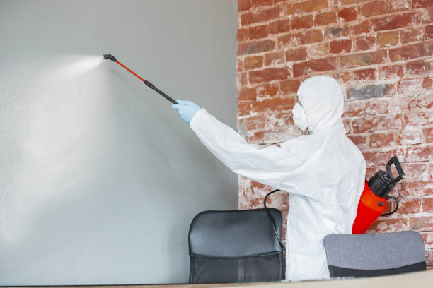 Best Real Estate Mold Inspection  in Rapid Valley, SD