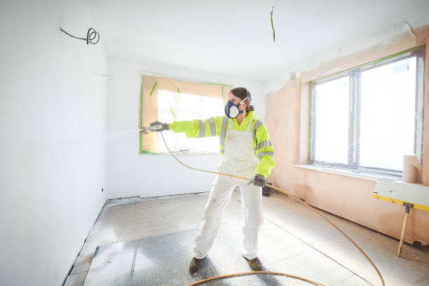 Best Environmental Consulting for Mold Prevention  in Rapid Valley, SD