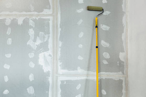 Best Mold Remediation for Healthcare Facilities  in Rapid Valley, SD