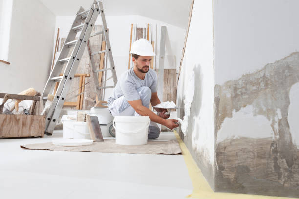 Best Basement Mold Removal  in Rapid Valley, SD