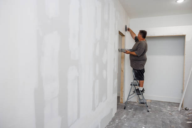 Best Mold Remediation for Rental Properties  in Rapid Valley, SD
