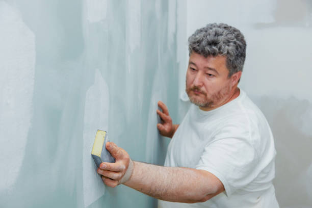 Best Mold Odor Removal Services  in Rapid Valley, SD