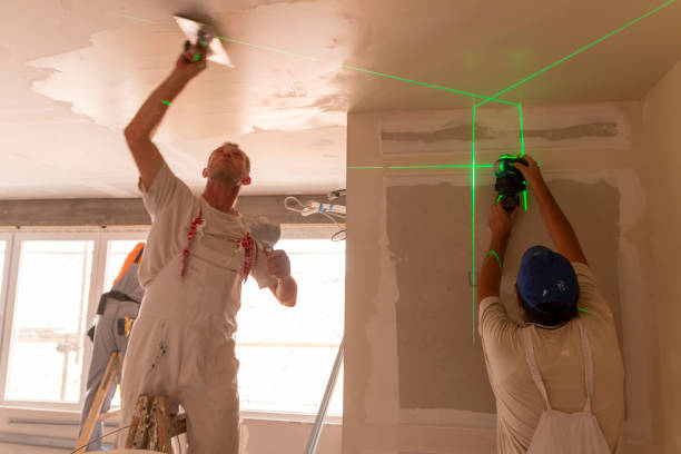 Best Attic Mold Removal  in Rapid Valley, SD