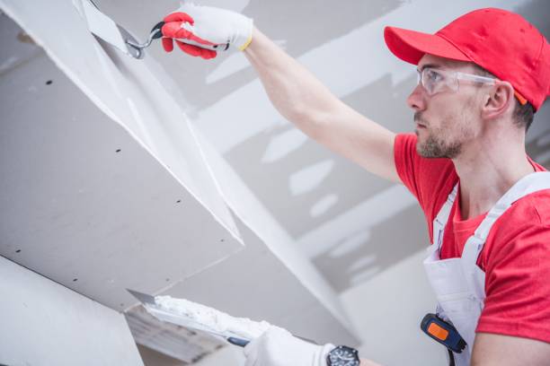 Best Commercial Mold Inspection  in Rapid Valley, SD